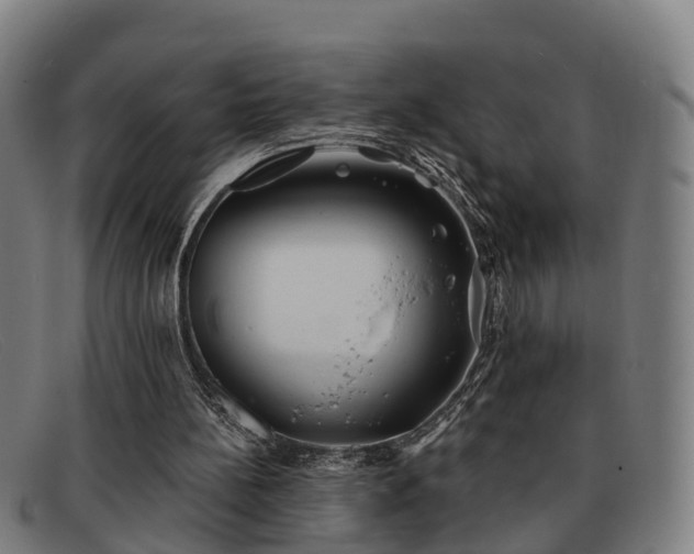 X0000091850148200709121317