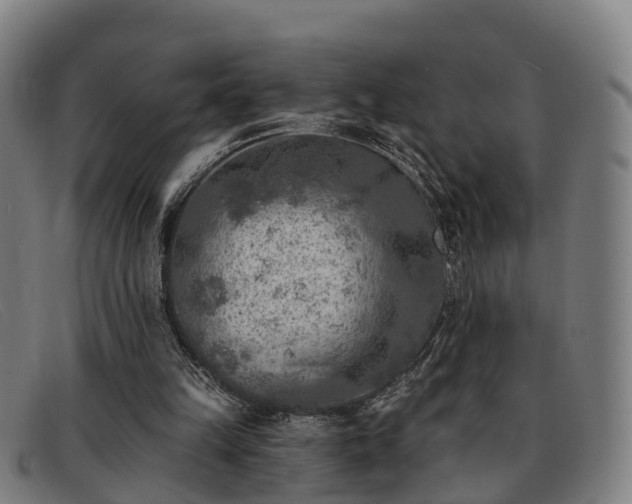 X0000091850149200709121317