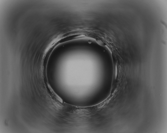 X0000091850150200709121317