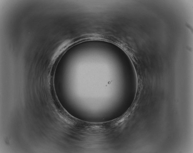 X0000091850151200709121317