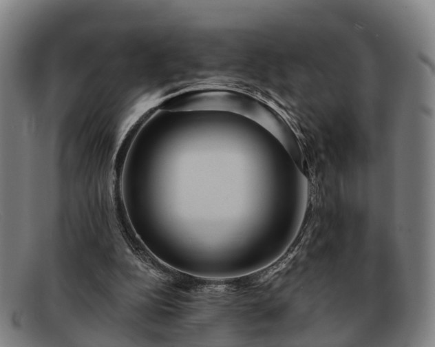 X0000091850152200709121317