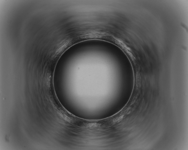 X0000091850153200709121317