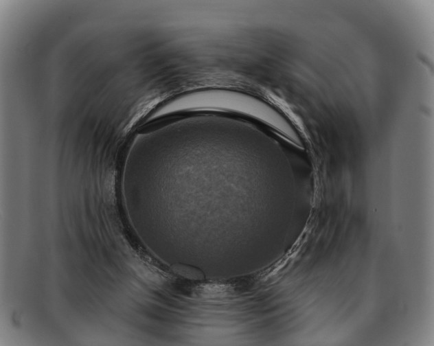 X0000091850154200709121317