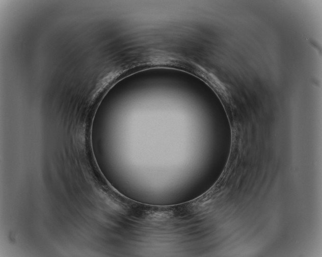 X0000091850155200709121317