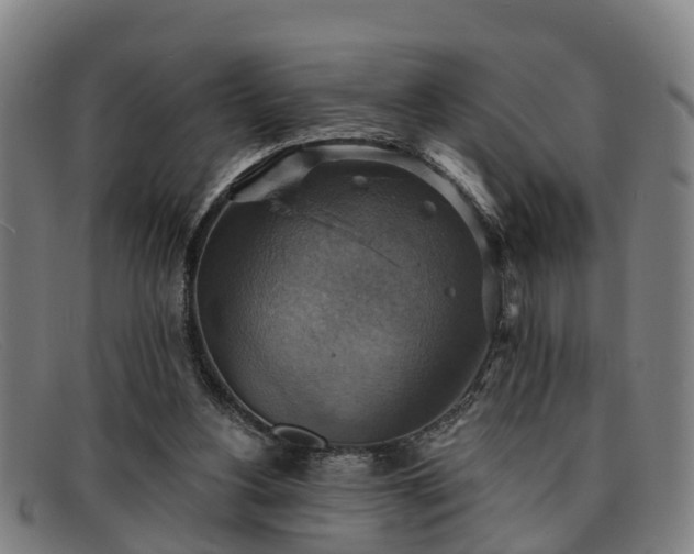 X0000091850156200709121317