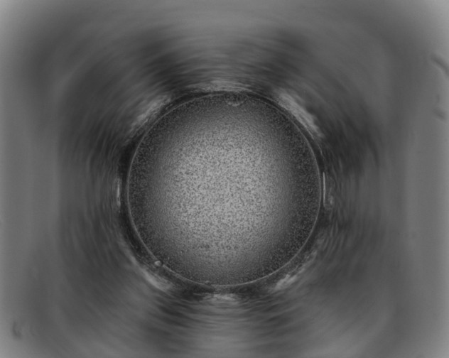 X0000091850157200709121317