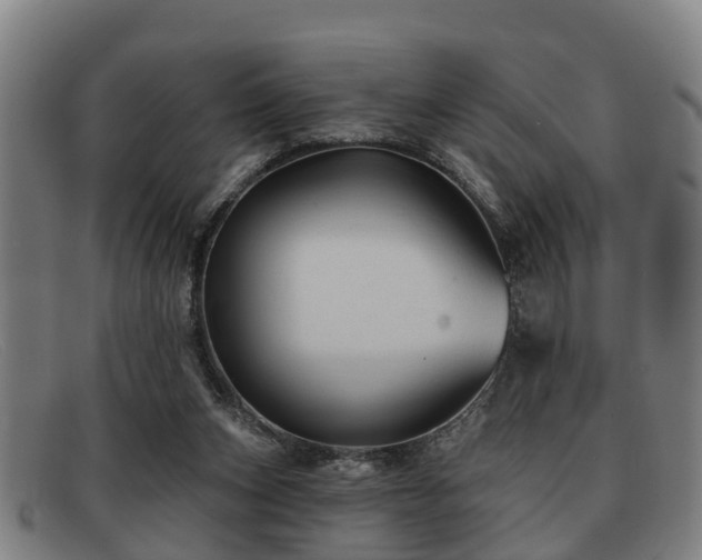 X0000091850159200709121317
