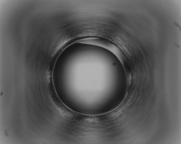 X0000091850160200709121317