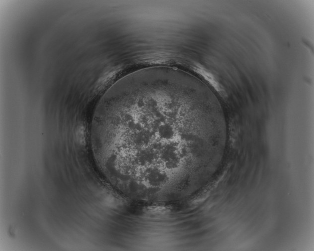 X0000091850161200709121317