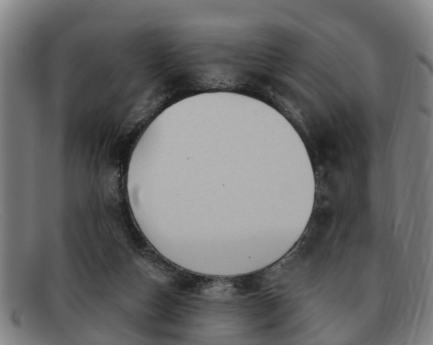 X0000091850162200709121317