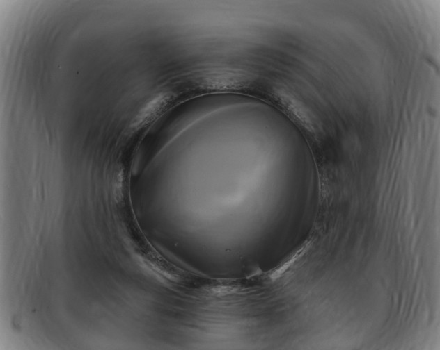 X0000091850163200709121317