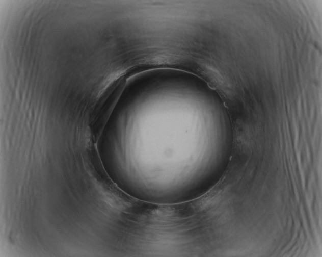 X0000091850164200709121317
