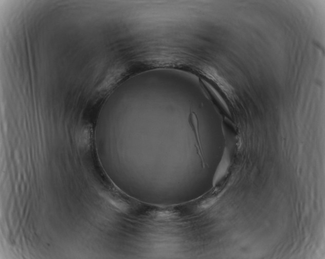 X0000091850165200709121317