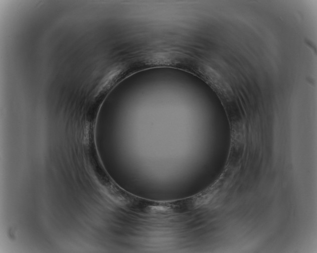 X0000091850167200709121317
