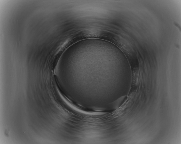 X0000091850168200709121317