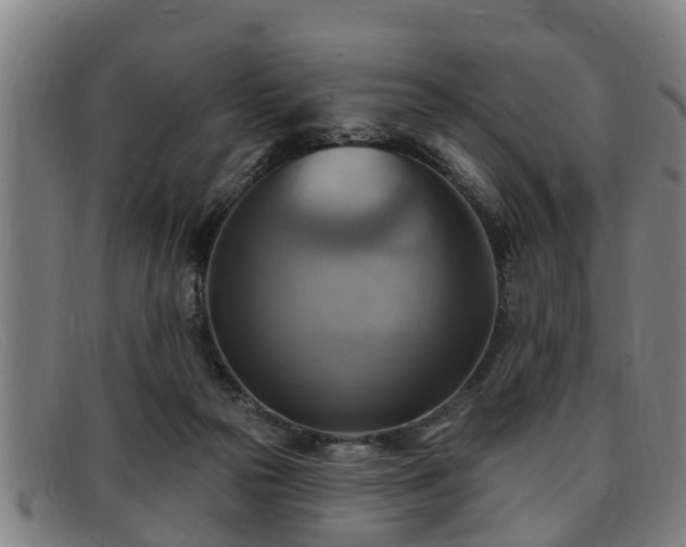 X0000091850169200709121317
