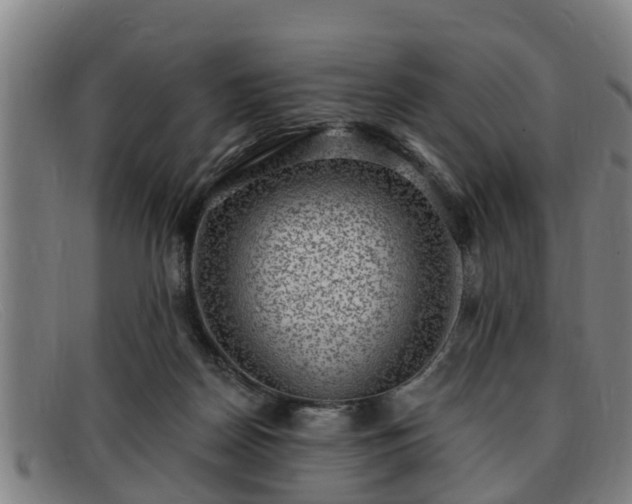 X0000091850170200709121317
