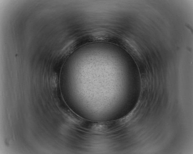 X0000091850174200709121317