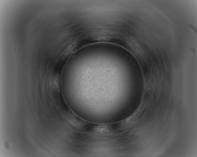 X0000091850175200709121317
