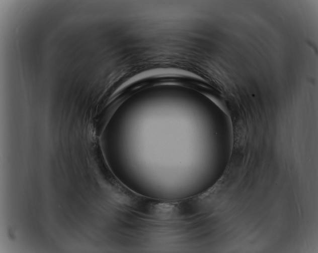 X0000091850176200709121317