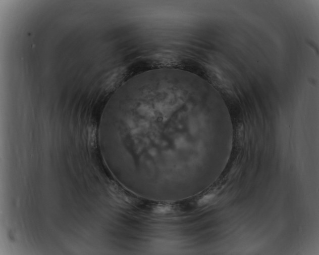 X0000091850177200709121317