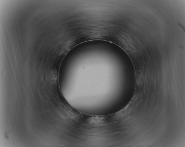 X0000091850179200709121317