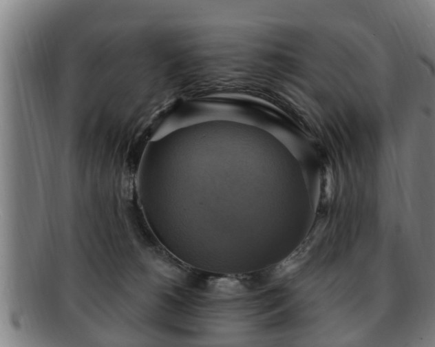 X0000091850180200709121317