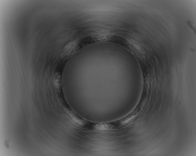 X0000091850181200709121317