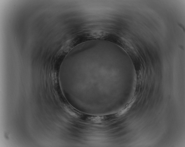 X0000091850182200709121317