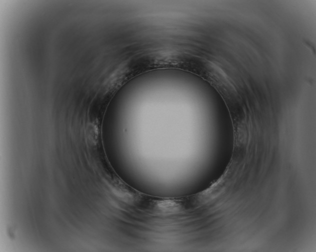 X0000091850183200709121317