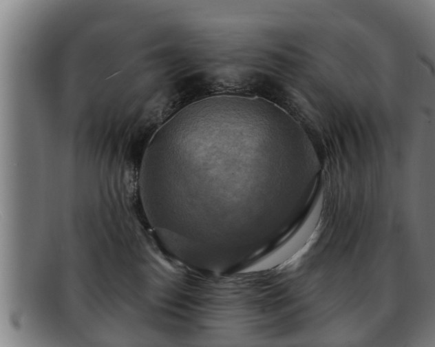 X0000091850186200709121317