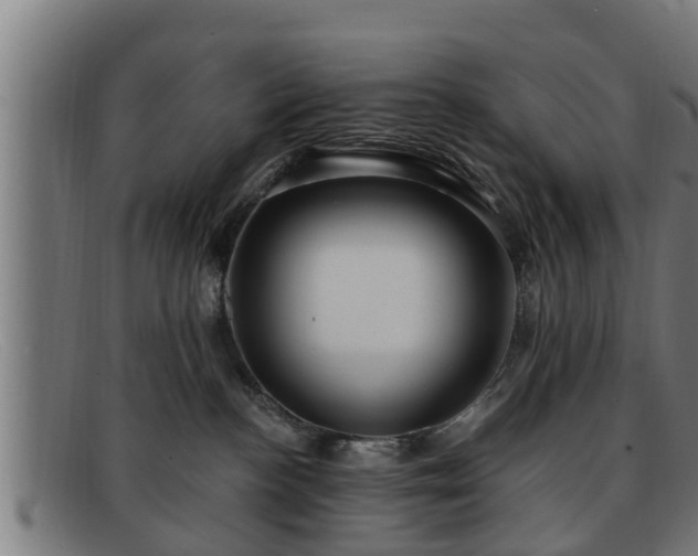 X0000091850188200709121318