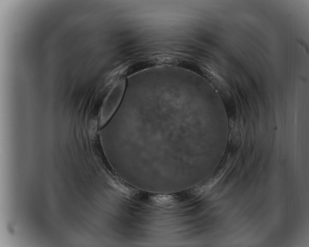 X0000091850189200709121318