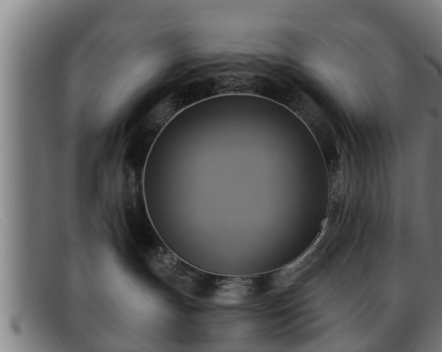 X0000091850191200709121318