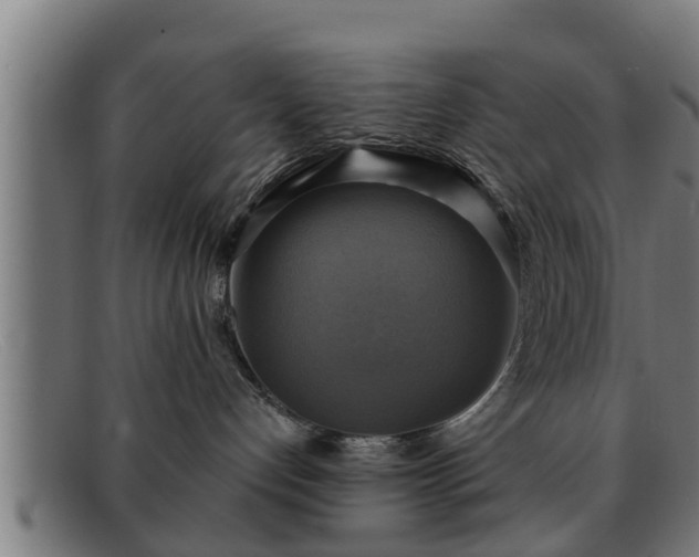 X0000091850192200709121318