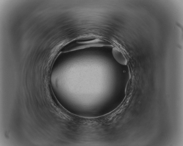 X0000091850193200709121317