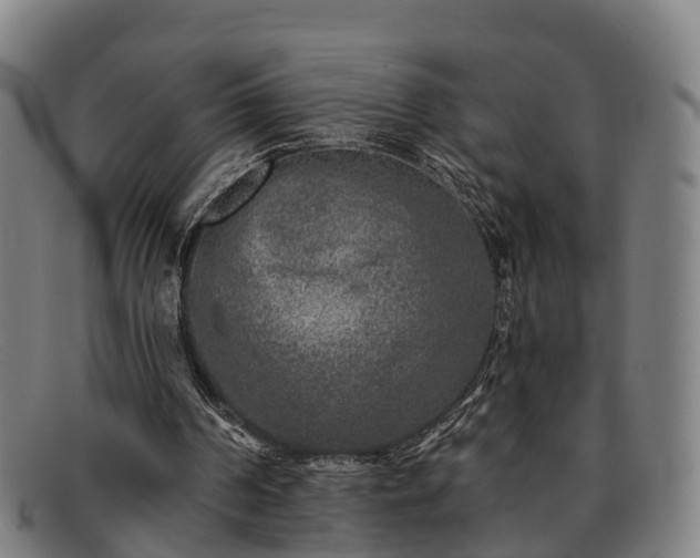 X0000091850194200709121317
