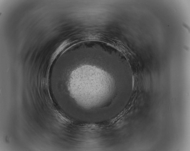 X0000091850195200709121317
