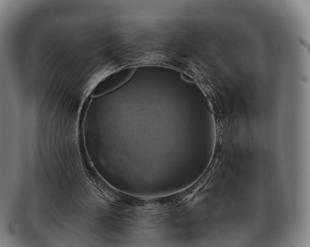 X0000091850196200709121317
