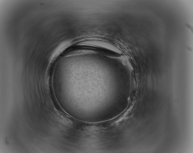 X0000091850197200709121317