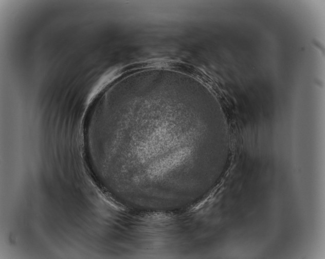 X0000091850198200709121317