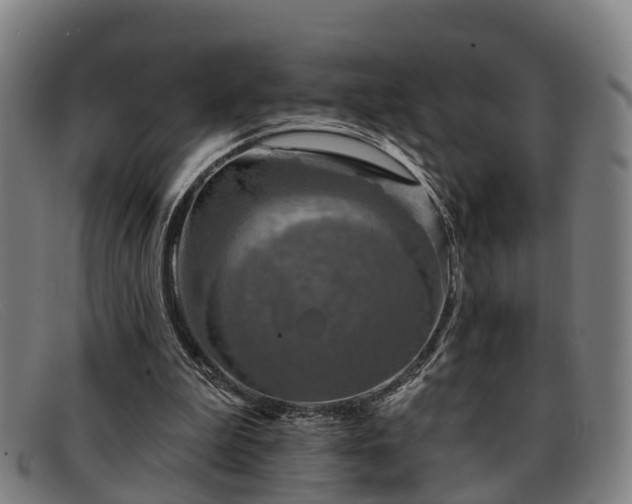 X0000091850199200709121317