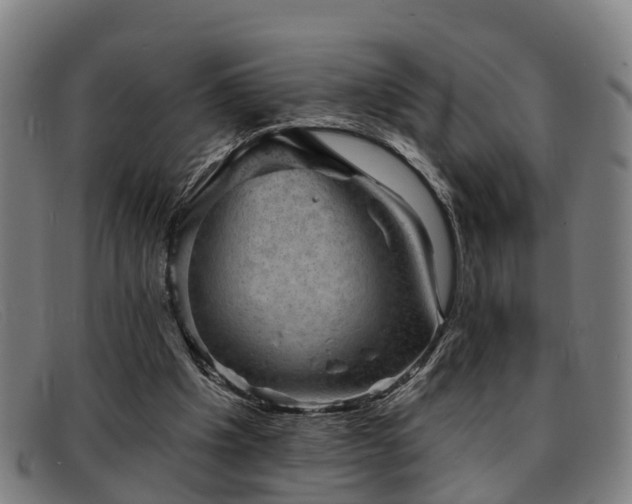 X0000091850201200709121317
