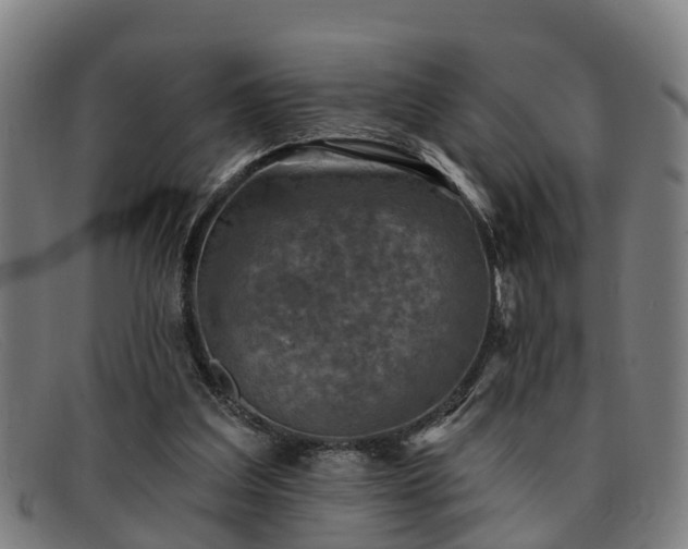 X0000091850203200709121317