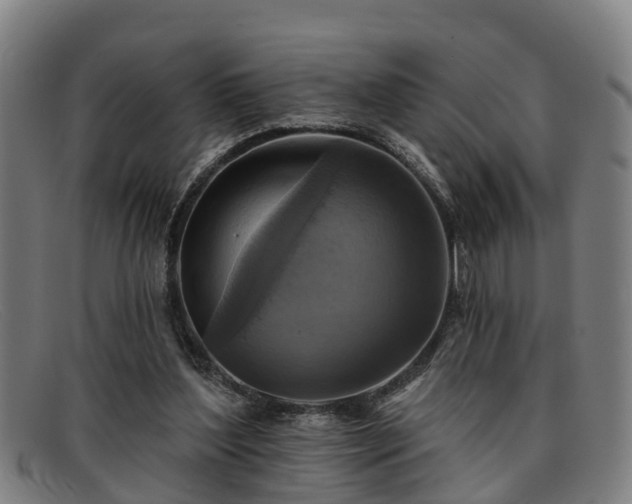 X0000091850204200709121317