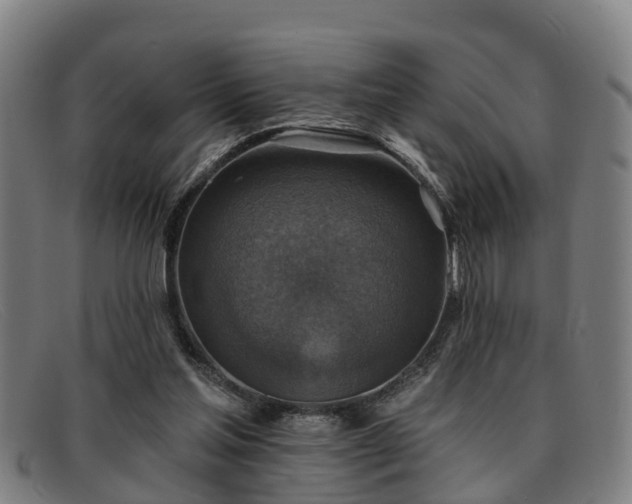 X0000091850205200709121317