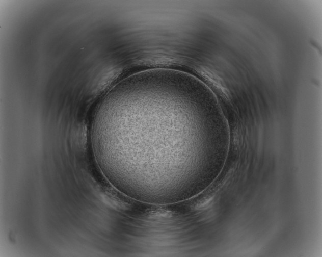 X0000091850206200709121317