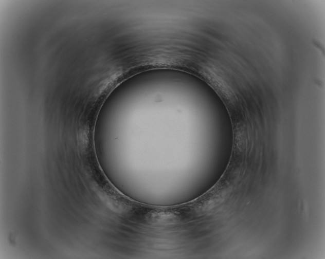 X0000091850208200709121317