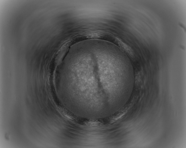 X0000091850209200709121317