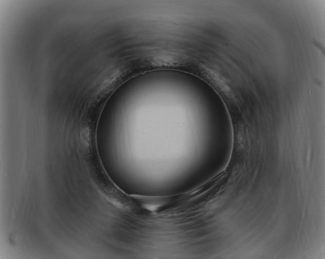 X0000091850211200709121317